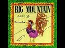 Big Mountain