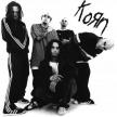 Korn