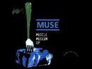 Muse