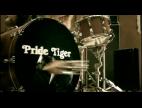 Pride Tiger