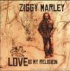 Ziggy Marley