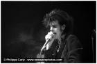 Nick Cave & The Bad Seeds